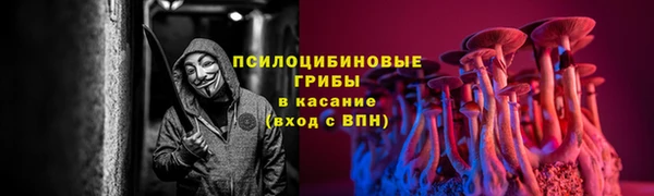 СК Абдулино