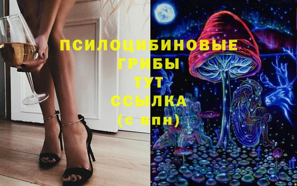 СК Абдулино