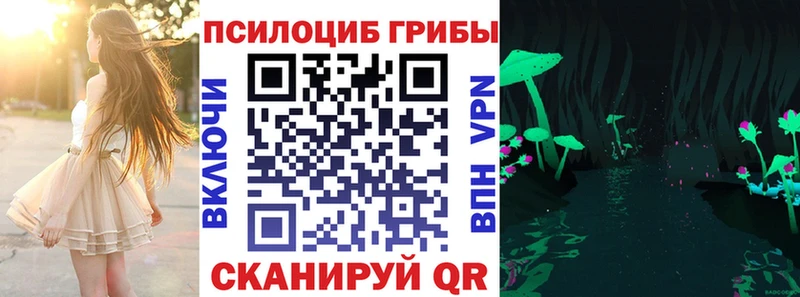 Псилоцибиновые грибы мицелий  Советск 